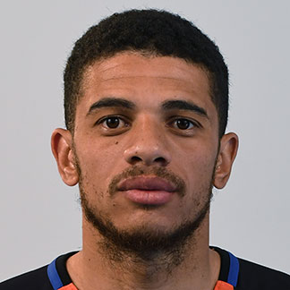 Taison